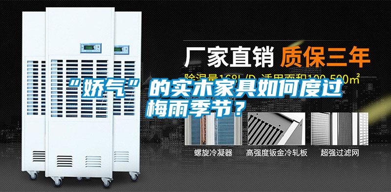 “嬌氣”的實木家具如何度過梅雨季節(jié)?