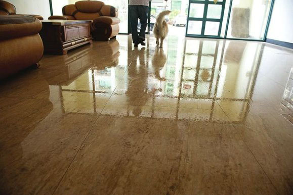 1521766935310258.jpg 底板潮濕.jpg