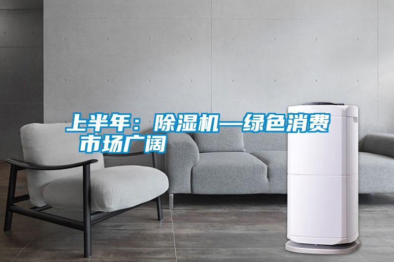 上半年:除濕機—綠色消費 市場廣闊