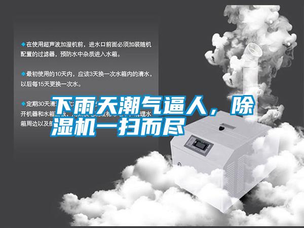 下雨天潮氣逼人,除濕機一掃而盡