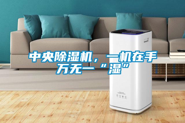 中央除濕機(jī),一機(jī)在手萬無一“濕”