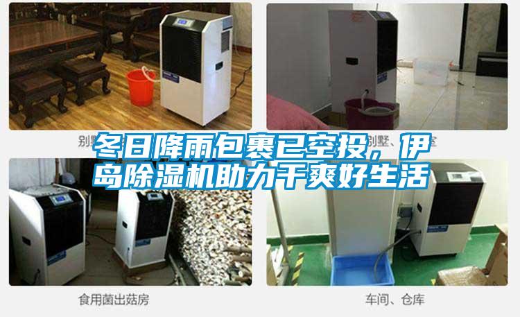 冬日降雨包裹已空投,伊島除濕機(jī)助力干爽好生活
