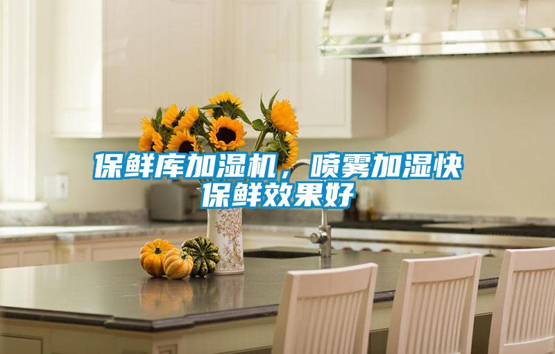 保鮮庫加濕機，噴霧加濕快保鮮效果好