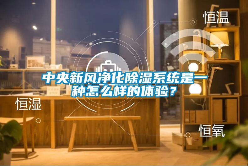 中央新風凈化除濕系統是一種怎么樣的體驗？