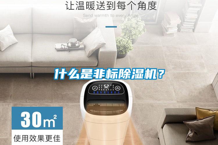 什么是非標(biāo)除濕機？
