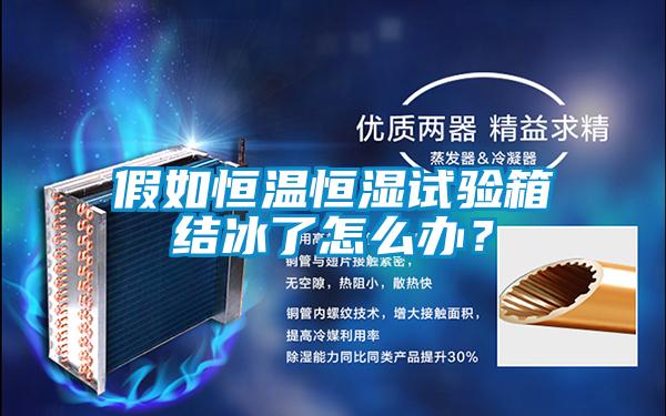 假如恒溫恒濕試驗箱結(jié)冰了怎么辦?