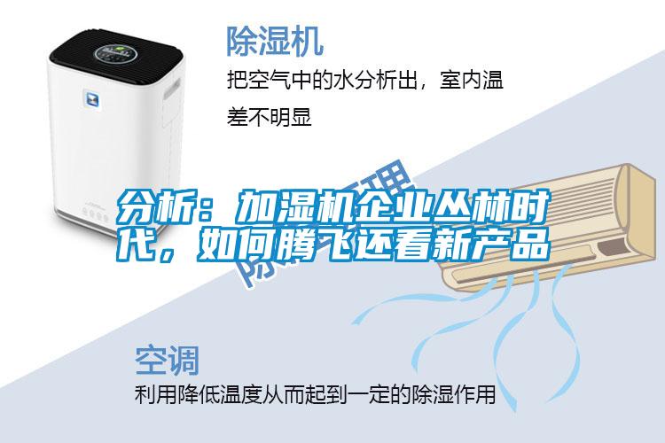 分析:加濕機企業(yè)叢林時代,如何騰飛還看新產品