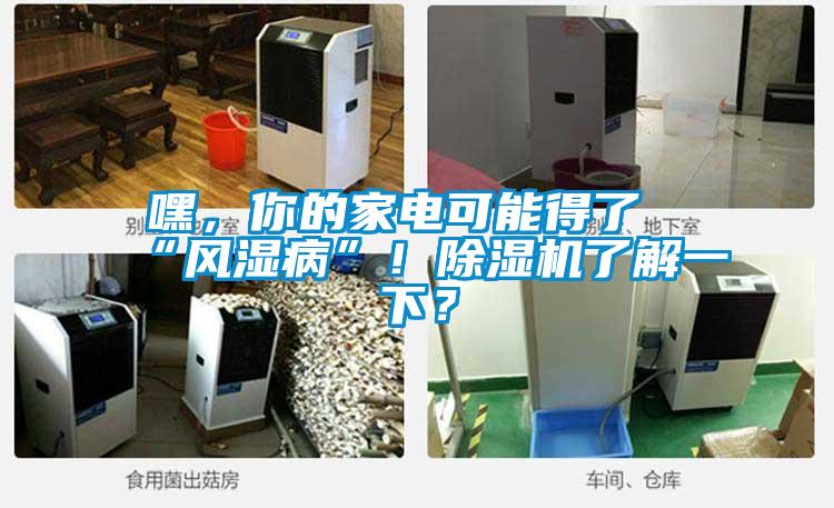 嘿，你的家電可能得了“風濕病”！除濕機了解一下？