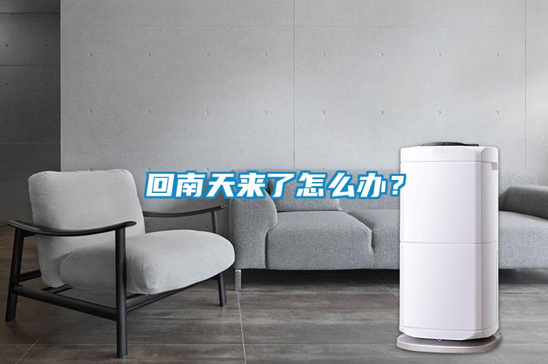 回南天來(lái)了怎么辦？