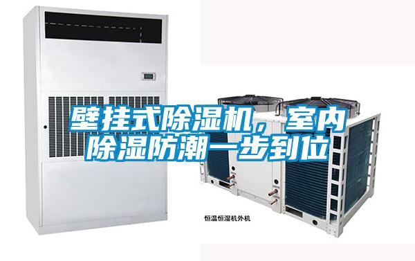 壁掛式除濕機(jī),室內(nèi)除濕防潮一步到位