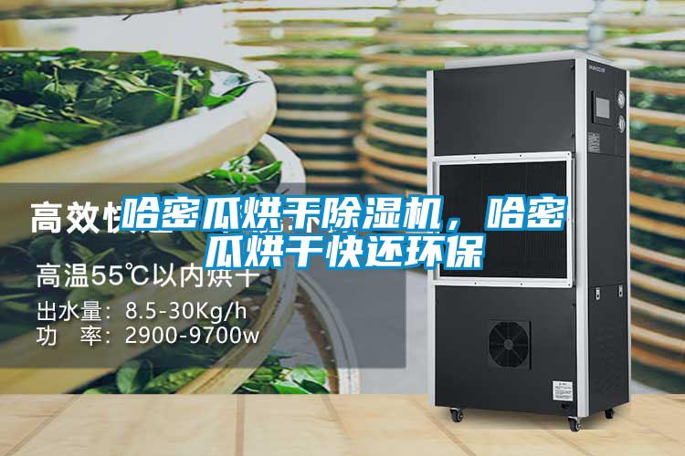 哈密瓜烘干除濕機，哈密瓜烘干快還環保
