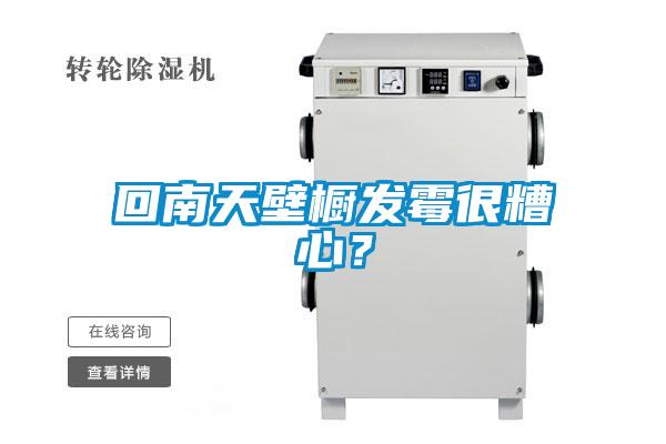 回南天壁櫥發(fā)霉很糟心?