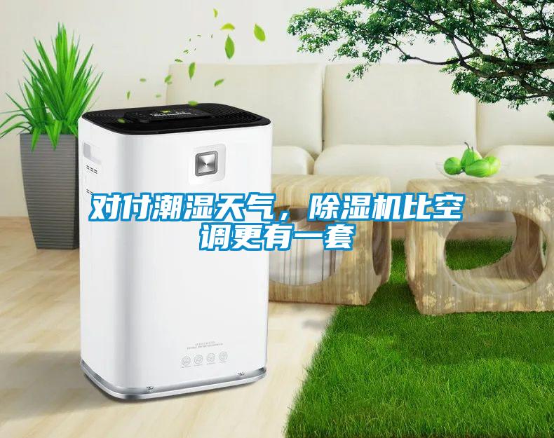 對付潮濕天氣，除濕機比空調(diào)更有一套