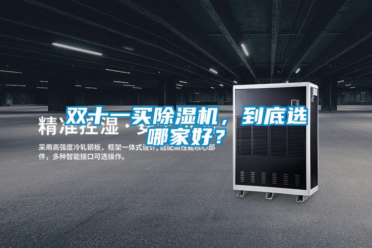 雙十一買除濕機，到底選哪家好？