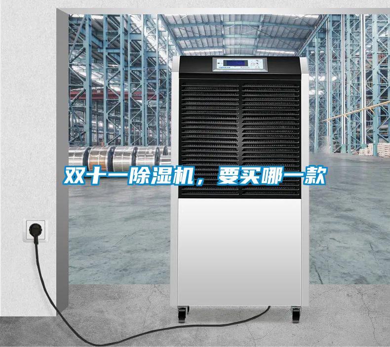 雙十一除濕機(jī),要買哪一款