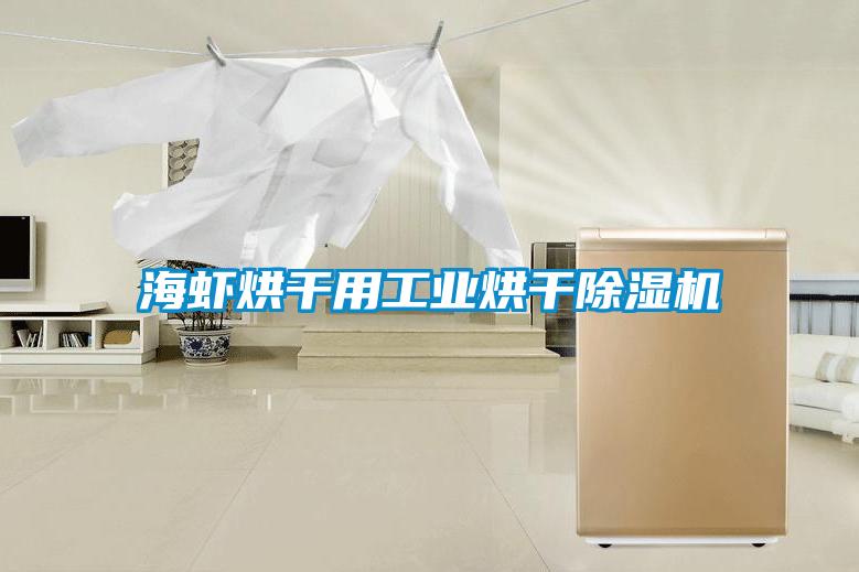 海蝦烘干用工業(yè)烘干除濕機