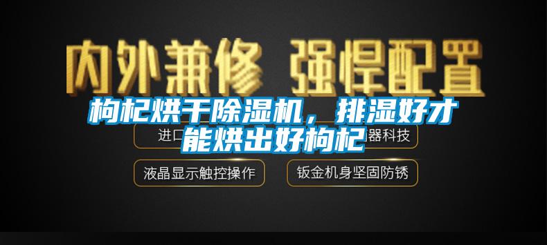 枸杞烘干除濕機(jī)，排濕好才能烘出好枸杞
