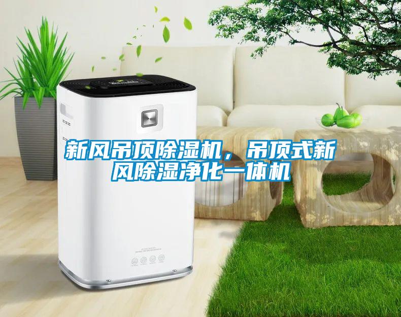 新風(fēng)吊頂除濕機,吊頂式新風(fēng)除濕凈化一體機