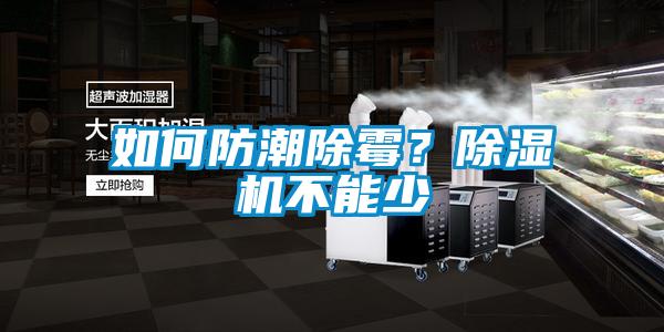 如何防潮除霉?除濕機(jī)不能少