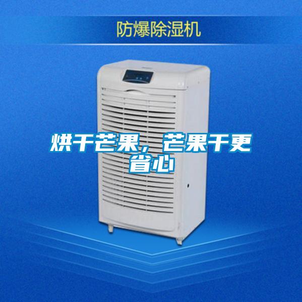 烘干芒果，芒果干更省心