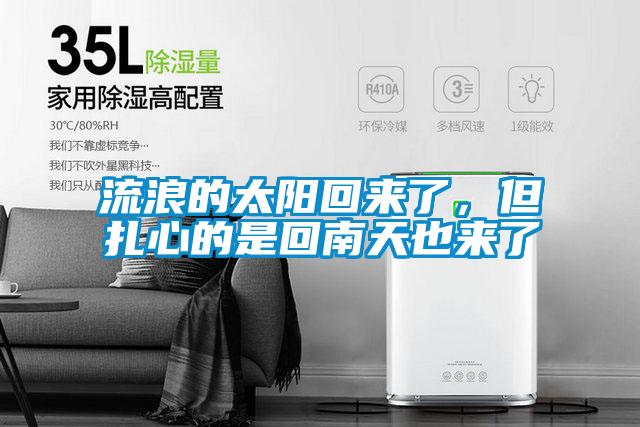 流浪的太陽回來了，但扎心的是回南天也來了