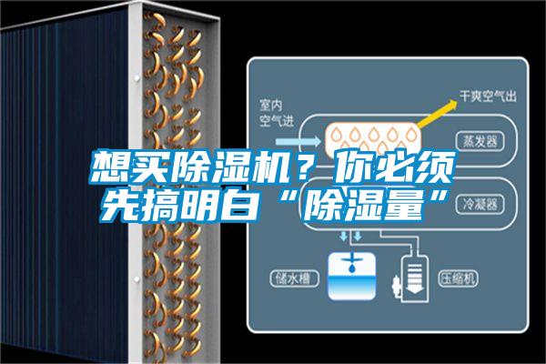 想買除濕機(jī)?你必須先搞明白“除濕量”