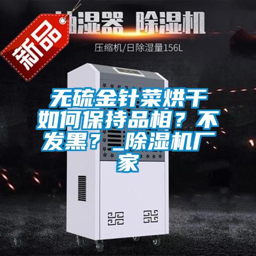 無硫金針菜烘干如何保持品相？不發(fā)黑？_除濕機廠家