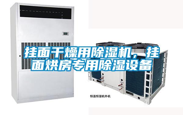 掛面干燥用除濕機,掛面烘房專用除濕設備