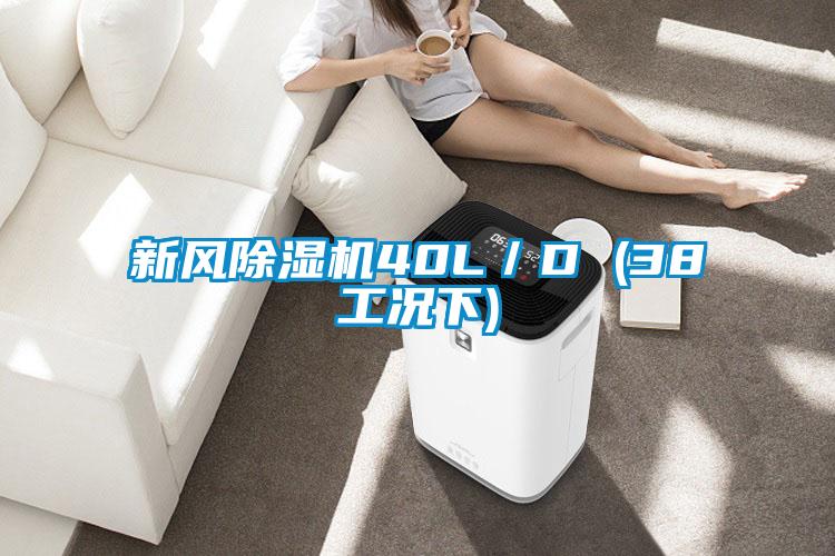 新風(fēng)除濕機(jī)40L/D (38工況下)