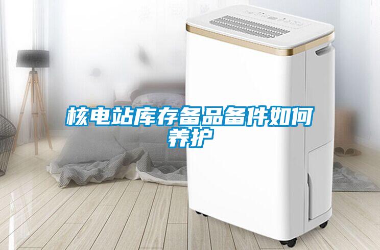 核電站庫存?zhèn)淦穫浼绾勿B(yǎng)護(hù)