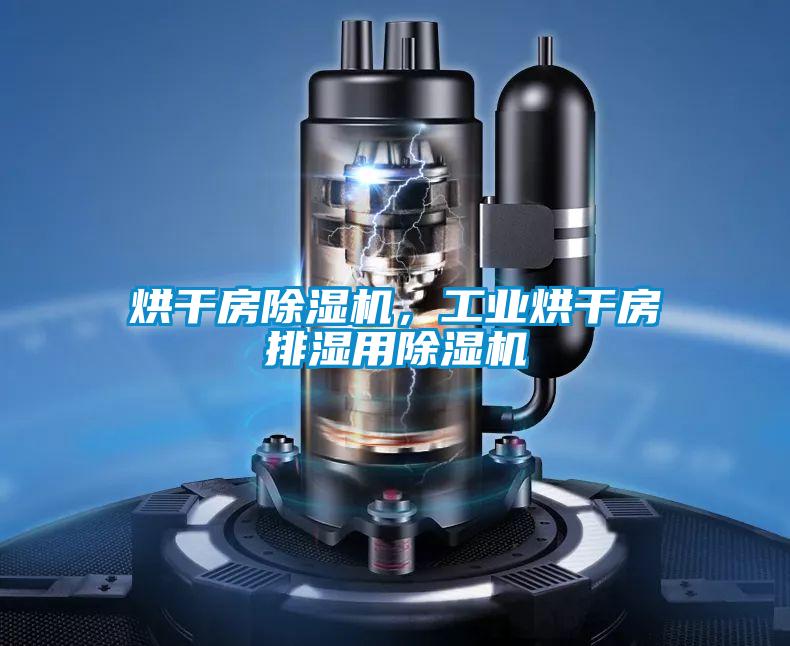 烘干房除濕機(jī),工業(yè)烘干房排濕用除濕機(jī)