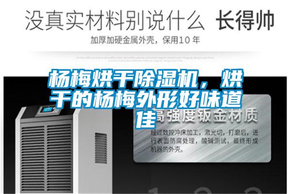 楊梅烘干除濕機,烘干的楊梅外形好味道佳