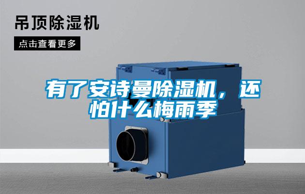 有了安詩(shī)曼除濕機(jī),還怕什么梅雨季