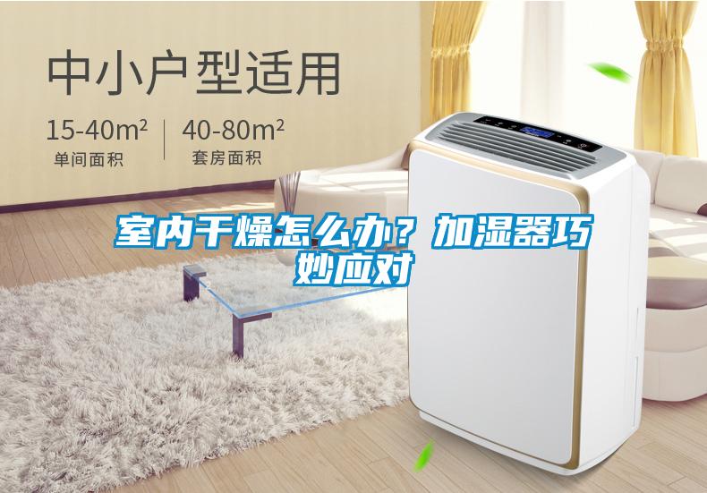 室內干燥怎么辦？加濕器巧妙應對