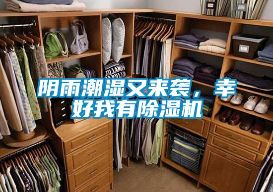 陰雨潮濕又來襲,幸好我有除濕機