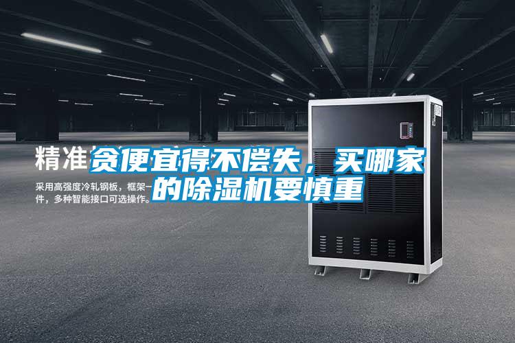 貪便宜得不償失,買哪家的除濕機要慎重