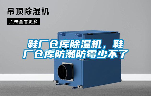 鞋廠倉庫除濕機(jī)，鞋廠倉庫防潮防霉少不了