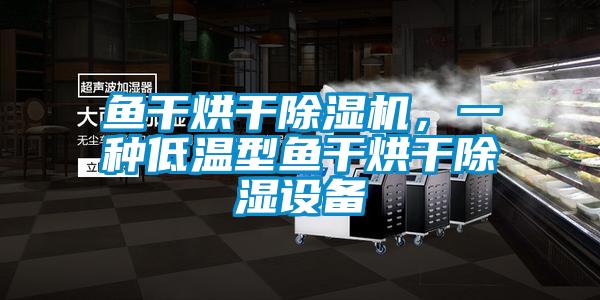 魚干烘干除濕機(jī),一種低溫型魚干烘干除濕設(shè)備
