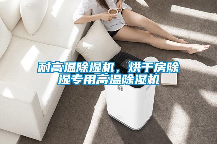 耐高溫除濕機(jī)，烘干房除濕專用高溫除濕機(jī)