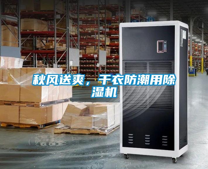 秋風(fēng)送爽,干衣防潮用除濕機