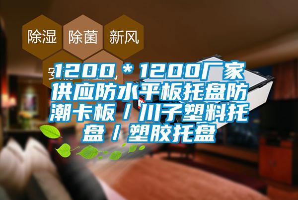 1200*1200廠家供應(yīng)防水平板托盤防潮卡板/川子塑料托盤/塑膠托盤