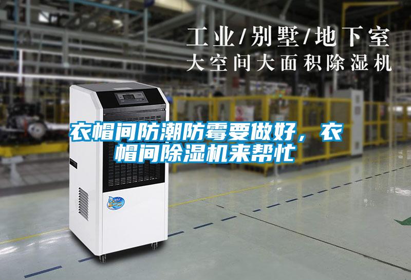 衣帽間防潮防霉要做好,衣帽間除濕機(jī)來幫忙