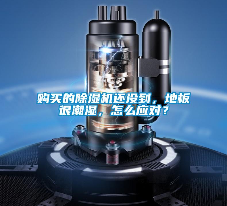 購(gòu)買的除濕機(jī)還沒到，地板很潮濕，怎么應(yīng)對(duì)？