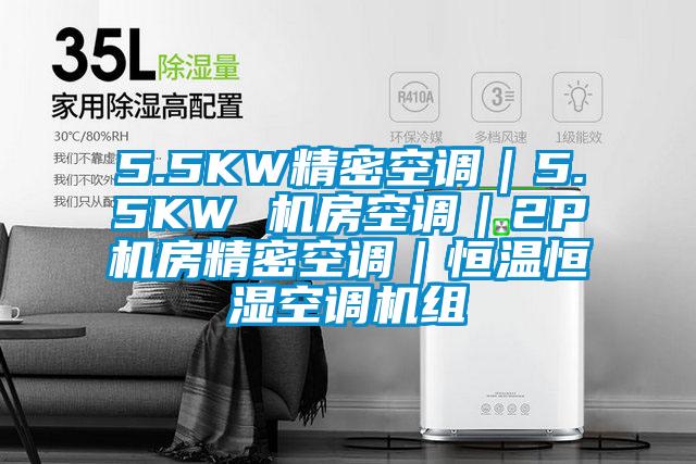 5.5KW精密空調(diào)|5.5KW 機(jī)房空調(diào)|2P機(jī)房精密空調(diào)|恒溫恒濕空調(diào)機(jī)組