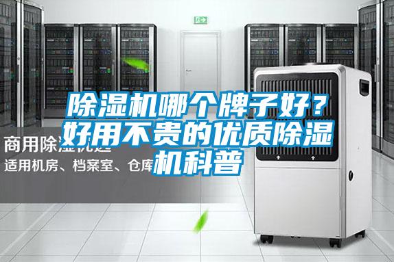 除濕機哪個牌子好？好用不貴的優質除濕機科普