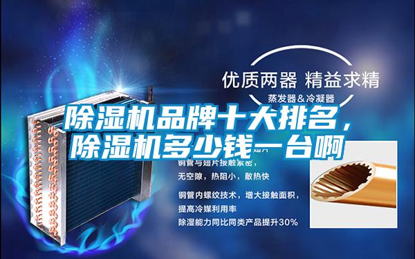 除濕機品牌十大排名，除濕機多少錢一臺啊