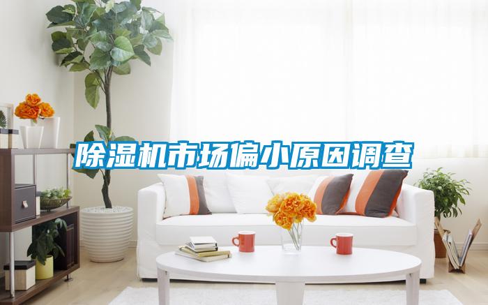 除濕機市場偏小原因調(diào)查