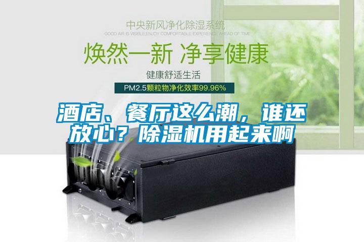 酒店、餐廳這么潮，誰(shuí)還放心？除濕機(jī)用起來(lái)啊