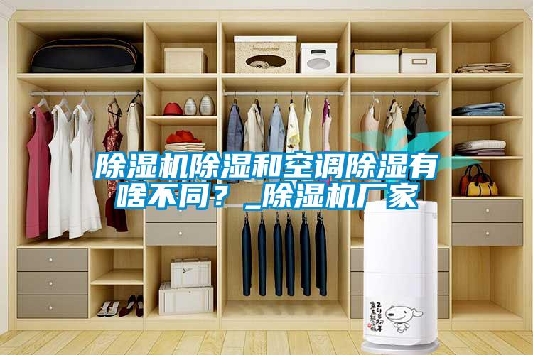 除濕機除濕和空調除濕有啥不同?_除濕機廠家