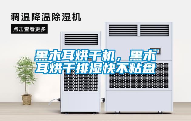 黑木耳烘干機(jī),黑木耳烘干排濕快不粘盤